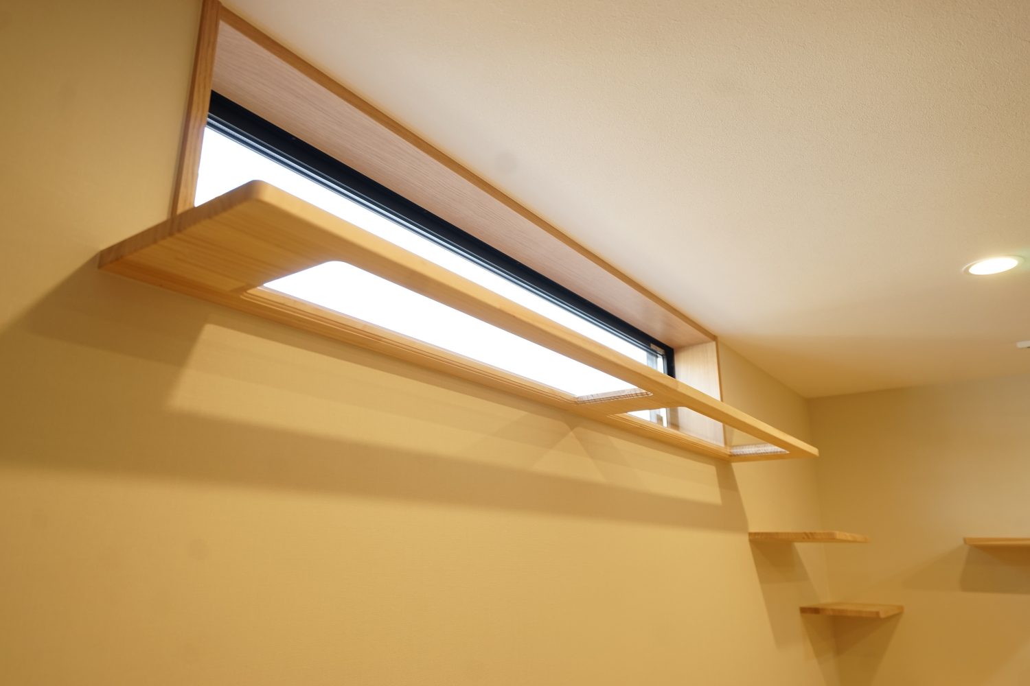 ねこちゃんと暮らす家