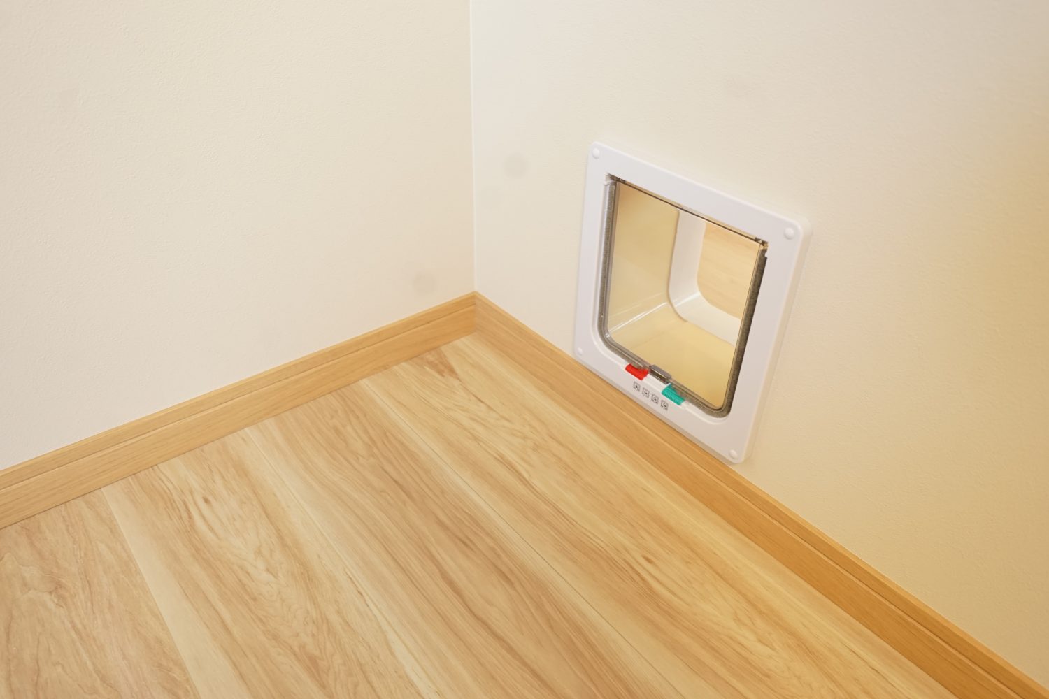 ねこちゃんと暮らす家